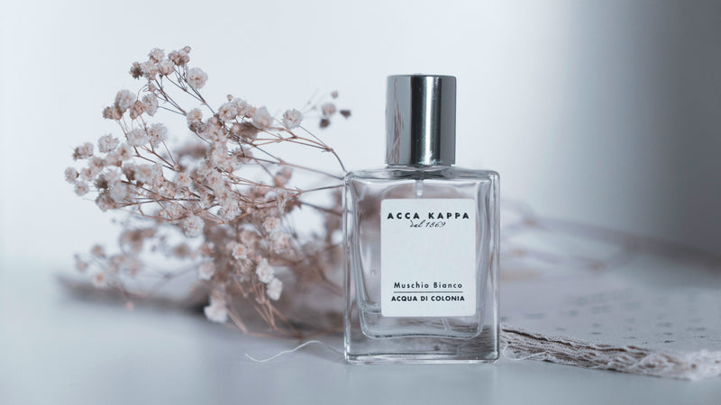 Premium Fragrance That Solves.